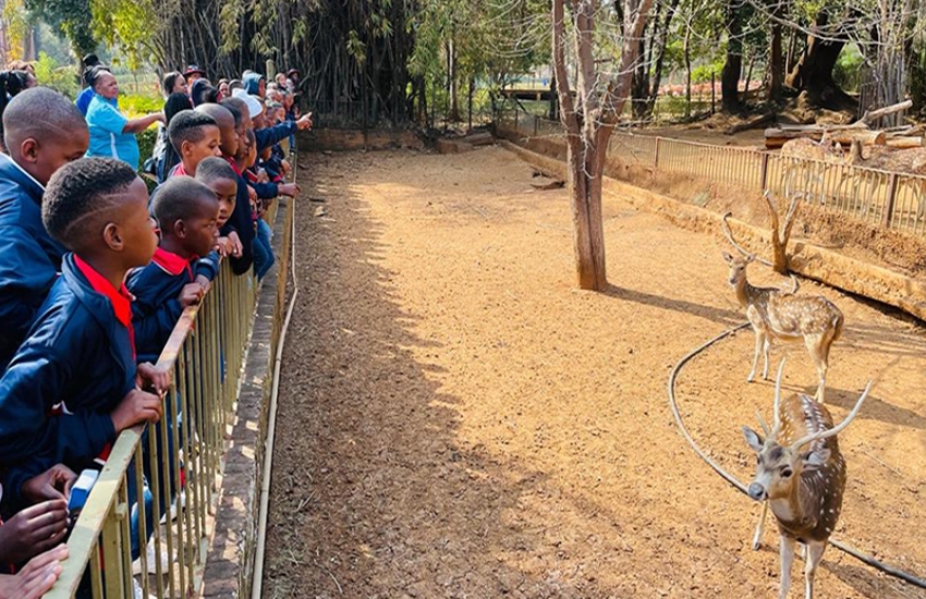 Pretoria Zoo Trip